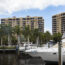 boat rental
